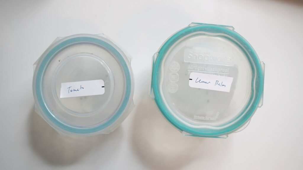 Seeds in germination containers