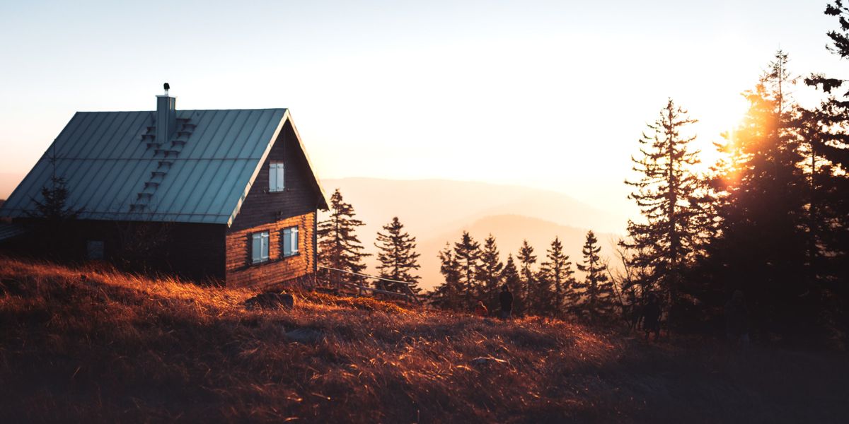 Cabin in the woods